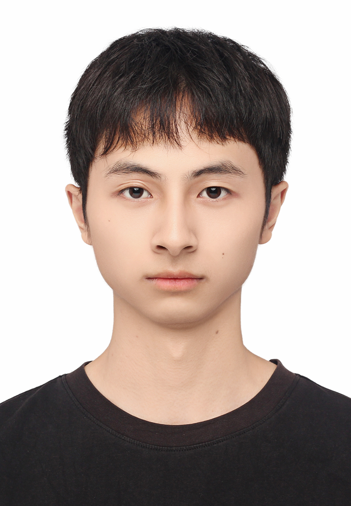 其他成员